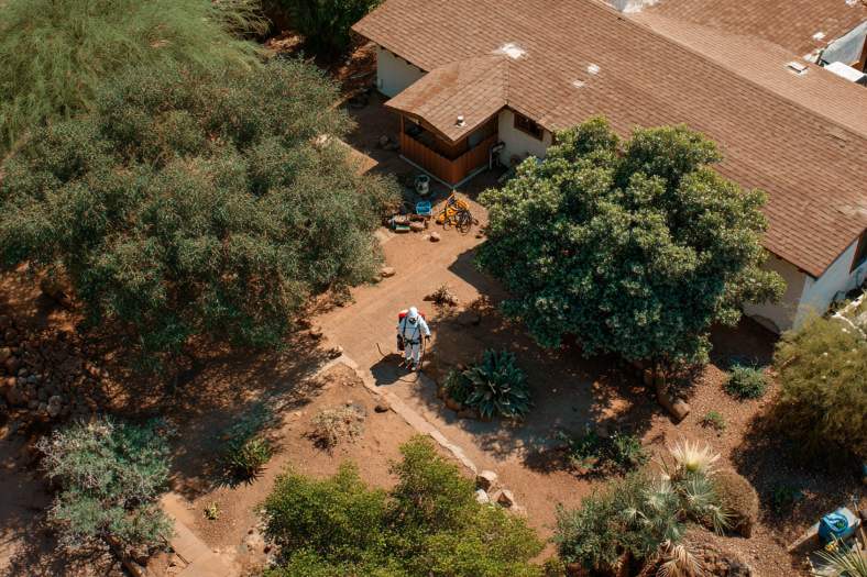 Recommended Pest Control Companies in Tempe AZ Homeowners Trust